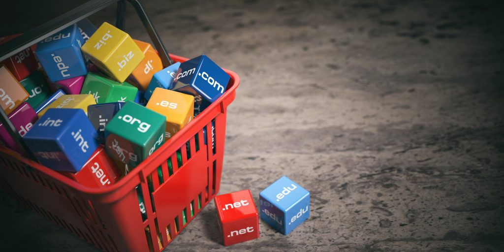 Shopping,Bag,With,Domain,Names.,Internet,Communication,And,E-business,Concept.